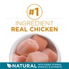 Purina ONE Natural Dry Cat Food, Tender Selects Blend With