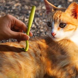 Itisyou Dust Mites Remover, Dust Mite Remover, Dust Mite Remover, Wall Remover, Dog and Cat Tick Removal, Pet Mite Tool, Suitable for Cats and Dogs, Set of 3