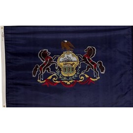 3x5 Foot (90x150 cm) State Polyester Indoor/Outdoor Flag; Vivid Color and Fade Proof - Canvas Header and Double Stitched (Pennsylvania)