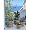 Rattan Kobo Indoor Outdoor Planter Basket with Plastic Pot Medium