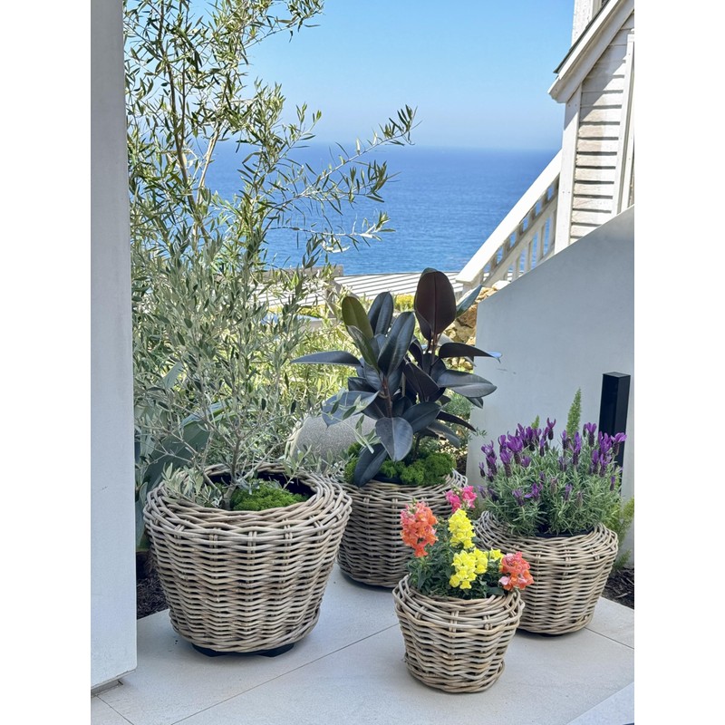 Rattan Kobo Indoor Outdoor Planter Basket with Plastic Pot Medium