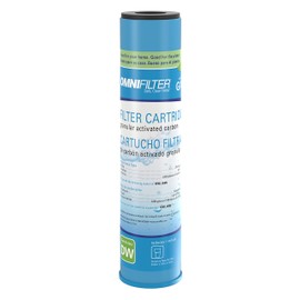 Omni Corporation GAC1-SS Taste/Odor Carbon Water Filter