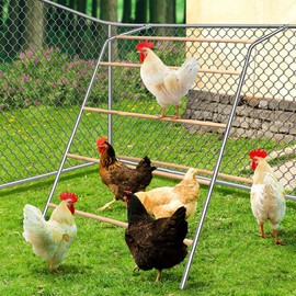 YUMEKA Chicken Roosting Bars with Swing,Chicken Perch Bars for Coop,Chicken roosting Bars,Backyard Poultry Toys,Chicken Swing with Frame,Chicken Ladder Perch,roosting Bars for Chickens in coop