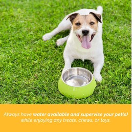 123 Treats Yak Cheese Dog Chews – 100% Natural Long Lasting Chew for Aggressive Chewers, Odor-Free, High Protein & Dental Cleaning Dog Treat, Yak Chews for Over 4 Months Dogs | (Medium, 4 Pack)