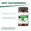 SONA Moringa Capsule - 1000mg Veg Capsules 100 Count (Pack