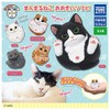 Manmaru Animal Crossing, Manmaru Cat, Large, Softubi, Set of 5