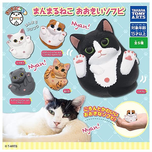 Manmaru Animal Crossing, Manmaru Cat, Large, Softubi, Set of 5