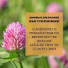 AR's Southern Honey - 100% Pure & Raw Clover USA