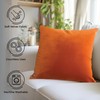 Encasa Christmas New Year VELVET Cushion Covers 2pc Set (40x40