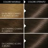 BELLE COLOR 4.03 castano luce hair colour