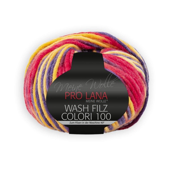 Sibylles Geschenkeartikel 100 g Pro Lana Wash Felt Colori 100