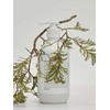 (Oily. Dandruff Care) Vital Scalp Shampoo 500ml / (지성.비듬케어) 바이탈 스캘프 샴푸 500ml