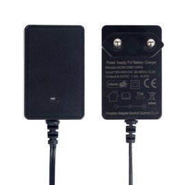 6 V charger for children's electric vehicles, universal power supply for electric toy cars, motorcycles and ATVs, with charging indicator