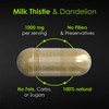 FitoHerbs Milk Thistle & Dandelion 1000Mg - Digestive Health Support
