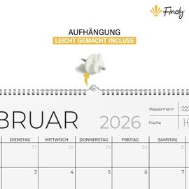 Finoly Calendar 2025/2026 Wall Calendar Monthly Calendar from January 25 to June 26 (18 Months) Annual Calendar 2025 Wall Calendar Monthly Calendar 2025 Wall Calendar 30 x 21 cm
