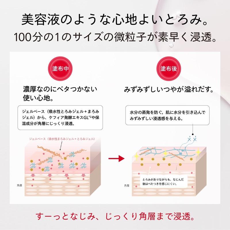 SHISEIDO Eidelmin Essence Lotion (Refill), 5.1 fl oz (145 ml)