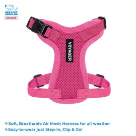 Voyager Step-in Lock Adjustable Cat Harness w. Cat Leash Combo Set with Neoprene Handle 5ft - Supports Small, Medium and Large Breed Cats by Best Pet Supplies - Fuchsia, XXS