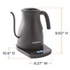 Chef'sChoice Electric Kettle Gooseneck Style Perfect for Pour-Overs Stainless Steel