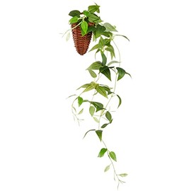 Kijapan 163701 Clematis Wall Hanging (W x D x H): 8.7 x 7.1 x 23.6 inches (22 x 18 x 60 cm)