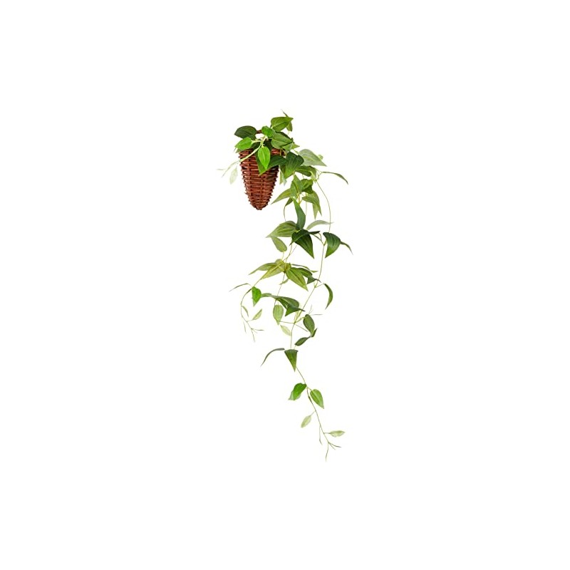 Kijapan 163701 Clematis Wall Hanging (W x D x H):