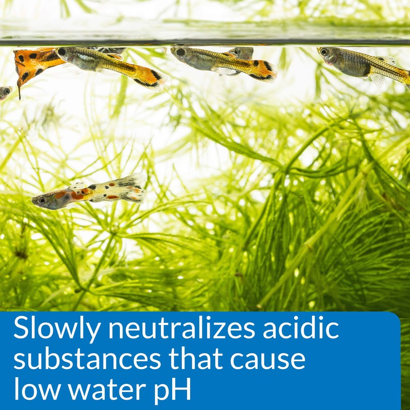 API pH UP Freshwater Aquarium Water pH Raising Solution 1.25-Ounce