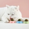 Bola Giratoria Con Hierba Gatera De Juguete Para Gatos, 3pz