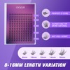 LOCKCUTE Vacay Vibes 5-Size Falsies Kit (8-16mm) | 72H Sweat-Proof