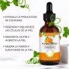 Aceite Semillas De Calabaza Nutrición Capilar Cuidado Facial