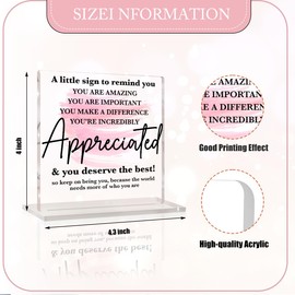 Pink Inspirational Gifts for Women Appreciation Gifts for Coworkers Social Worker Employee Motivational Desk Sign Thank You Gift Ideas Coworkers Retirement Gifts Office Decor for Women