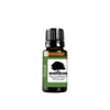 Northridge Oak - Fennel - 100% Pure Essential Oil