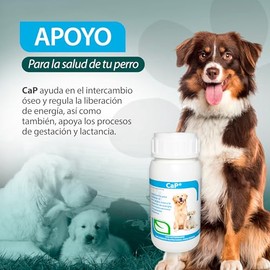 RUILAND Ca-P Suplemento con Vitamina D, Calcio y Fósforo para Perros | Apoya Energía y Salud Ósea | Tabletas Masticables para Cachorros, Adultos y Perros en Gestación o Lactación | Dosis Ideal