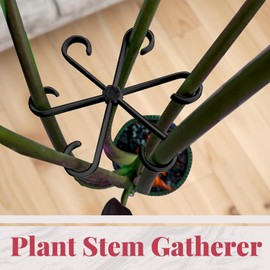Soporte Para Tallo De Plantas De Interior Trepadoras, Clips De Fijación De Jardín Para Plantas, Soporte Para Tallos De Plantas, Soportes Para Hojas De Alocasia Monstera 4 Piezas, Clips De Fijación Par