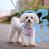 rabbitgoo Dog Harness Small Sized and Leash Set, Step-in Breathable