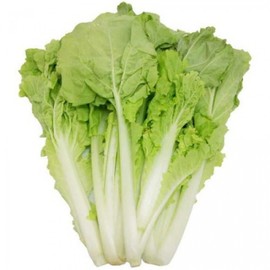 Three Mo Garden | Taiwan Pak Choy, Taiwan Bok Choi, Baby Chinese Cabbage (3.5 Gram (1000 Seeds))