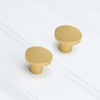 homdiy 20 Pack Gold Kitchen Cabinet Knobs Round Door Knobs,