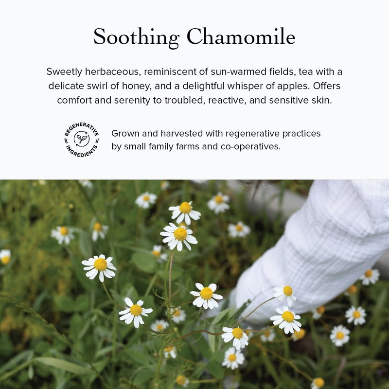 evanhealy Blue Lavender Cleansing Milk | Soothe & Calm Reactive