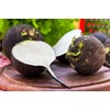RAISE ME UP: Seeds Black Spanish Round Radish Non GMO