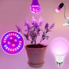 Grow Light Bulbs for Indoor Plants - Full Spectrum E26