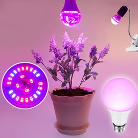 Grow Light Bulbs for Indoor Plants - Full Spectrum E26 A19 LED Lamp Bulb 12W - Balanced Spectrum 5000K with Red & Blue Light for Seeds, Greens, Hydroponics - 2 Pack