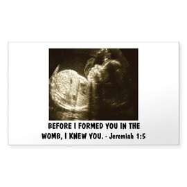 CafePress BEFOREI Formed You in The Womb Pro Life Sticker Rectangle Bumper Sticker Car Decal