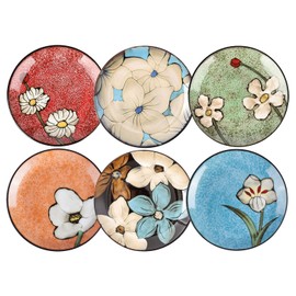 Ceramic Salad Plates Set,8.5 in - Plates Set of 6 - For Steak,Salad, Pasta,Appetizer, Serving etc - Dishwasher, Microwave, and Oven Safe, Scratch Resistant, Smooth Glaze (Multicolor A, 8.5 Inch)