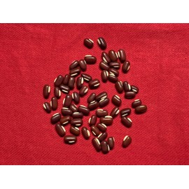 XYP Chixiaodou Chi Xiao Dou Semen Phaseoli Rice Bean 赤小豆 100Gram