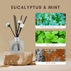 Brakula Reed Diffuser Set, Eucalyptus & Mint Scented， Reed diffusers