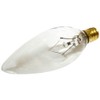 Bulbrite Incandescent B10 Candelabra Screw Base (E12) Light Bulb, 1