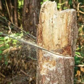 Unbranded Bugout Survival Hand Pocket Chainsaw Camping Hiking Portable Compact Cutting Saw