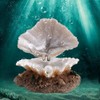 GOTOTOP Resin Sea Shell Pearl For Aquarium Fish Tank Decoration