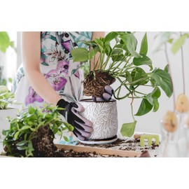 6 Inch Embossed Leaves Design Stoneware Planter Pot with Drainage Hole and Saucer