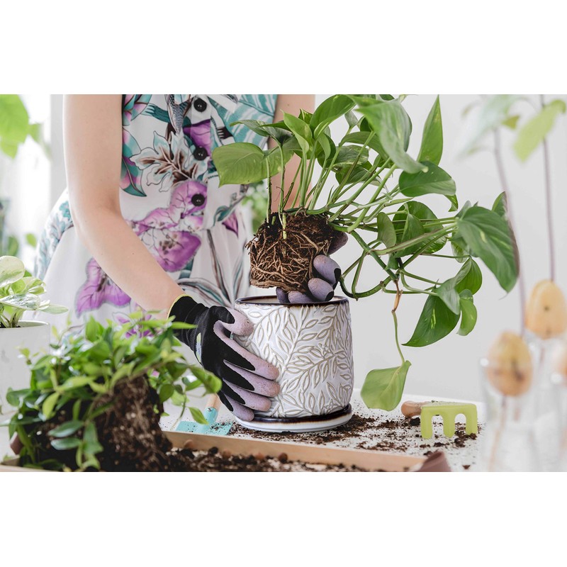 6 Inch Embossed Leaves Design Stoneware Planter Pot with Drainage