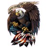 Nostalgia Decals American Eagle with Flag These Colors Don't Run