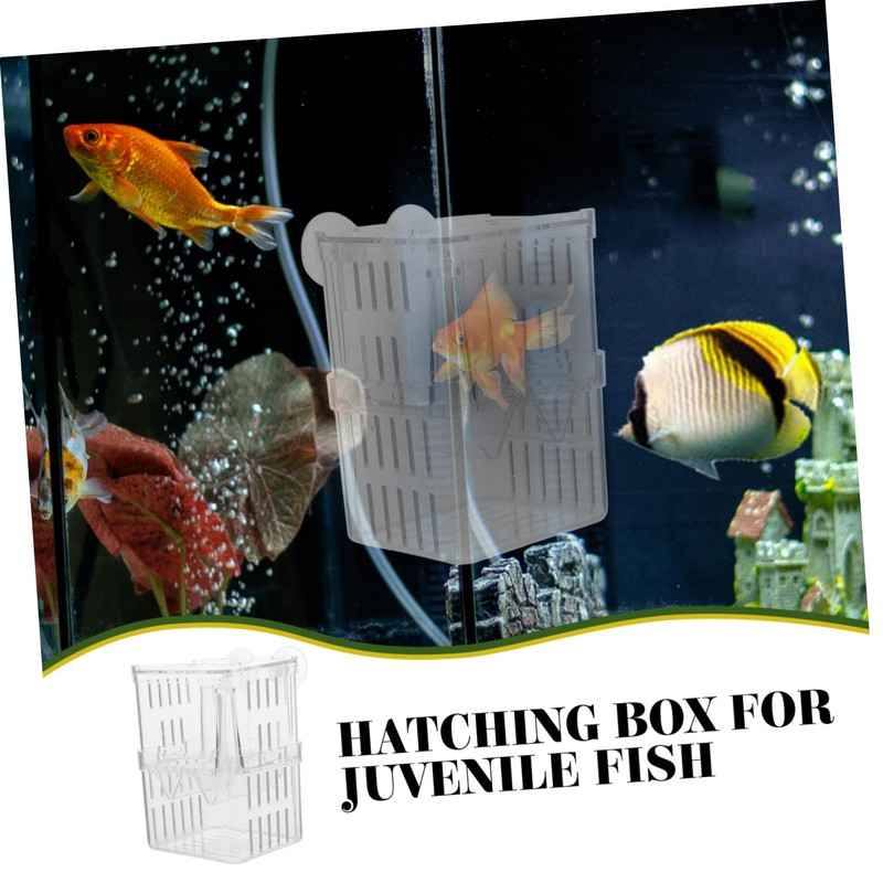 NOLITOY 4pcs Fish Breeding Box Small Aquarium Isolation Containers with